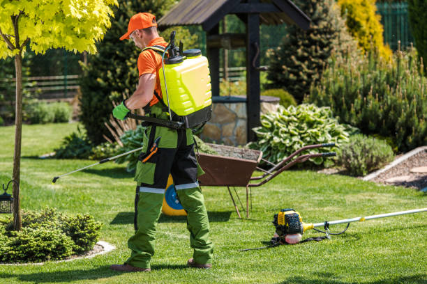 Best Lawn Pest Control  in USA